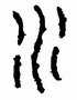 篆書「水」字